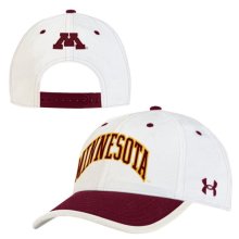 Gophers baseball: Silly hats help turn UMN into serious contender – Twin  Cities