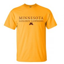 Minnesota Golden Gophers Nike Baseball M Pill Short Sleeve T-Shirt